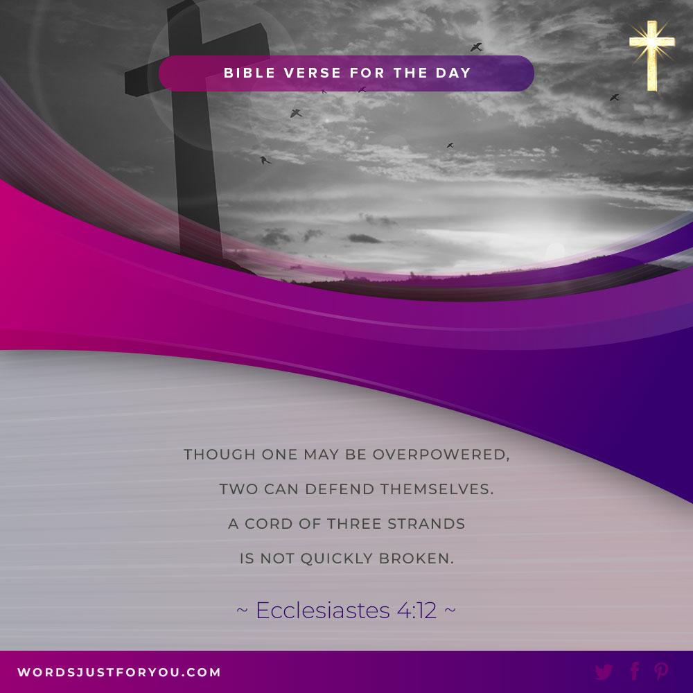 100+ Daily Bible Verses 40