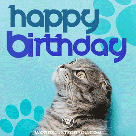 Happy Birthday Cat Gif