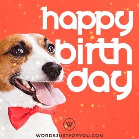 Happy Birthday To Dog GIFs