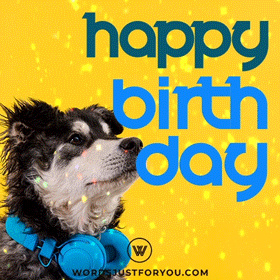 Cute Dog Happy Birthday Gif