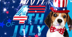 Best 4Th Of July Fireworks Animated Gifs