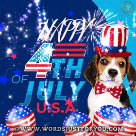 Best 4Th Of July Fireworks Animated Gifs
