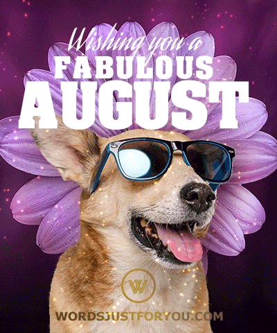 Happy August Gif