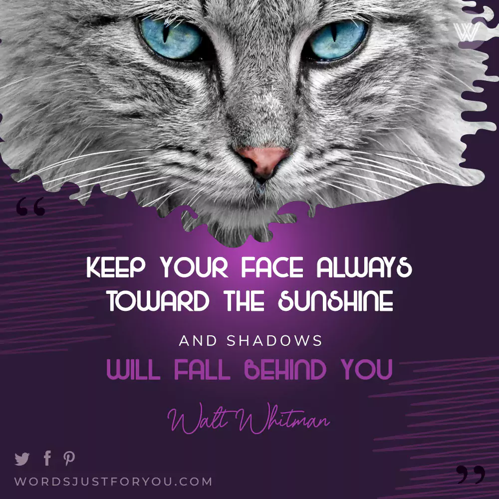 Motivational Quote By Walt Whitman