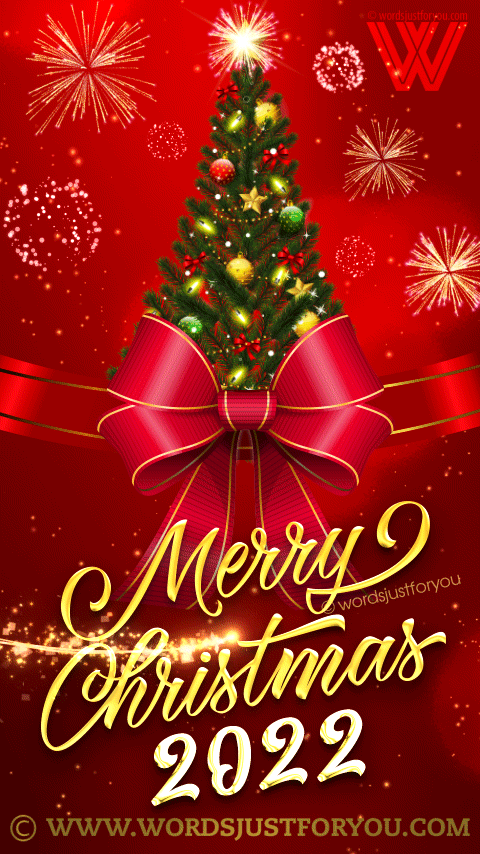 Beautiful Animated Merry Christmas 2022 Gif - Fireworks Merry Christmas Gif