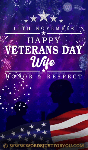 Happy Veterans Day Wife Gif With Fireworks, Usa Flag And Stars - Happy Veterans Day Gif