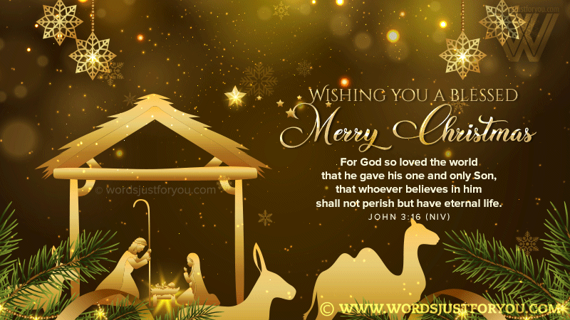 Beautiful Gold And Glitter Blessed Merry Christmas Gif With Bible Verse