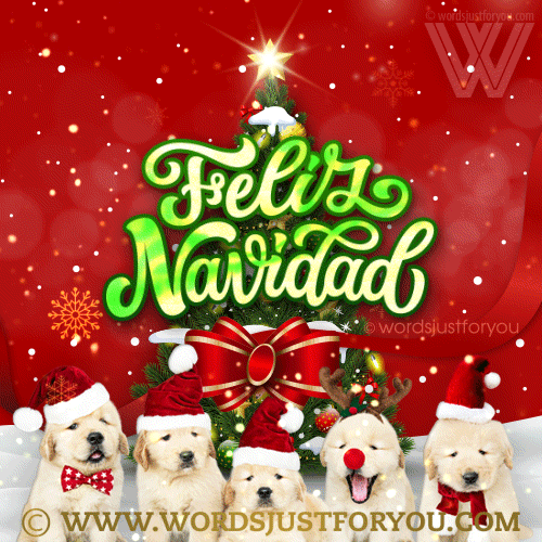 Feliz Navidad Y Próspero Año Nuevo Gif » WordsJustforYou.com - Original ...