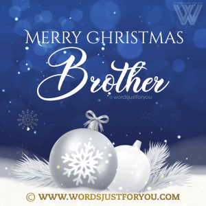 Merry Christmas Brother Gif - Merry Christmas Bro