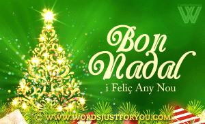 Bon Nadal I Feliç Any Nou - Merry Christmas And Happy New Year In Catalan