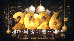 Happy New Year in Korean Gif - 새해 복 많이 받으세요