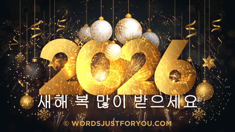 Happy New Year In Korean Gif - 새해 복 많이 받으세요