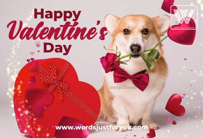 Happy Valentines Day 2025 Gif » WordsJustforYou.com - Original Creative