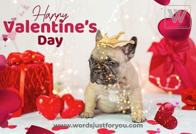 Animated Happy Valentines Day Gif - Valentines Day Gif 2023