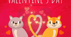 Animated Cat Happy Valentines Day Gif