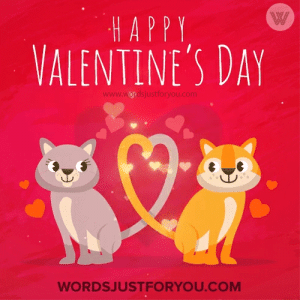 Animated Cat Happy Valentines Day Gif