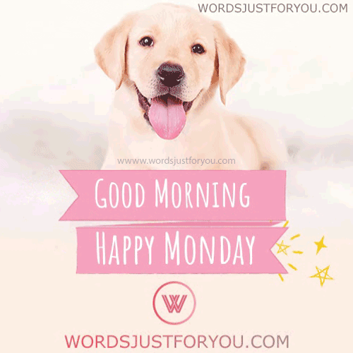 Animated Good Morning Happy Monday Gif