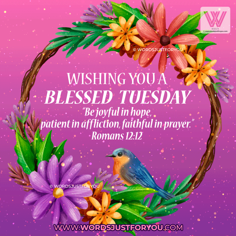Beautiful Tuesday Blessings Bible Verse Gifs - Blessed Tuesday Gif