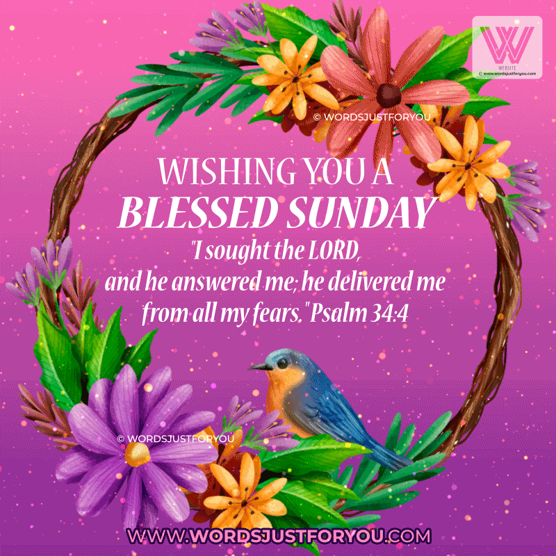 Sunday Blessings Bible Verse Gifs - Blessed Sunday Gif With Bible Verse - Sunday Blessings Gif