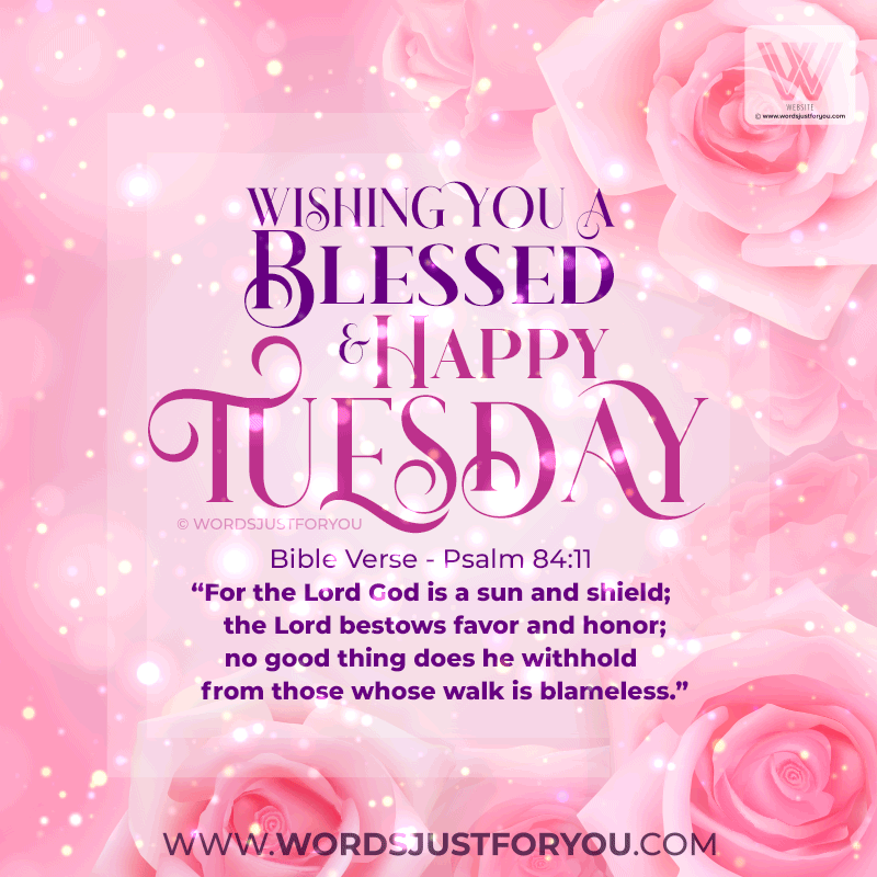 Beautiful Flowers Blessed Tuesday Gif - Blessed Tuesday Gif With Bible Verse