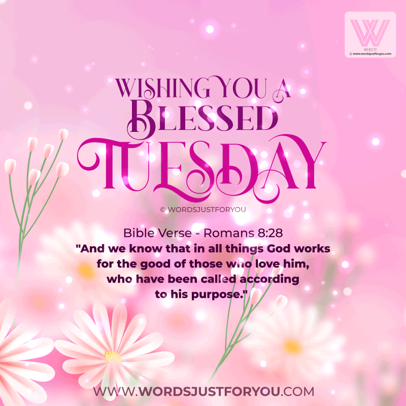 Wishing You A Blessed Tuesday Gif - Blessed Tuesday Gif