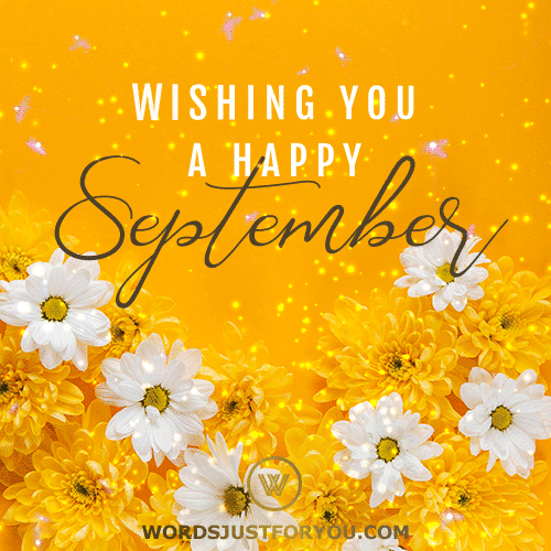 Yellow And White Beautiful Flowers Happy September Gif (Download Size: 500Px X 500Px)