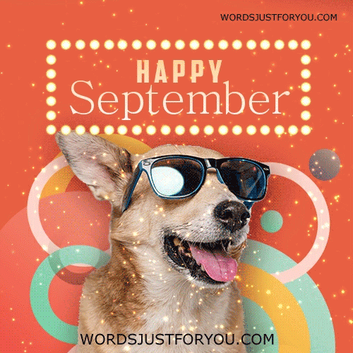 Dog Happy September Gif