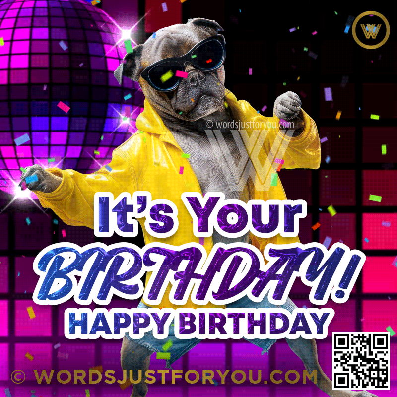 Amazing Dancing Dog Happy Birthday Meme Gif - Happy Birthday Gif