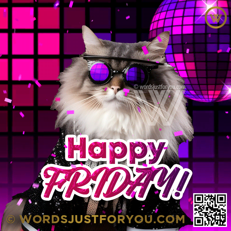 Amazing Dancing Stylish Cat New Happy Friday Gif - Happy Friday Gif