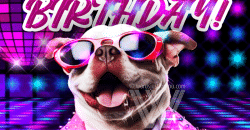 Happy Birthday Funny Gif - Happy Birthday Gif