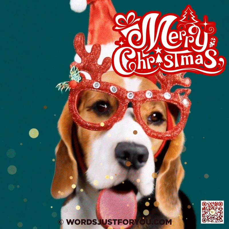 Christmas Cute Dog GIF - Merry Christmas GIF