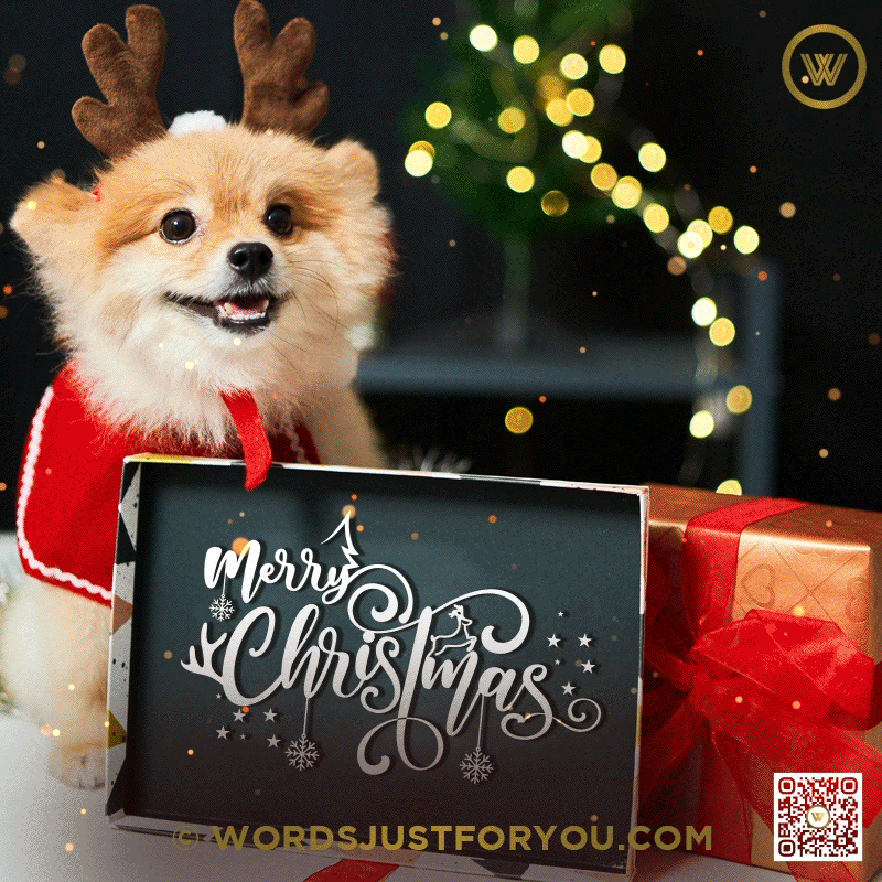 Dog Merry Christmas GIF