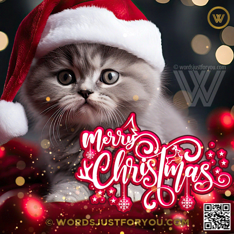 Christmas Cat Gif 