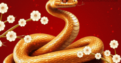 2025 Happy Chinese New Year Wishes