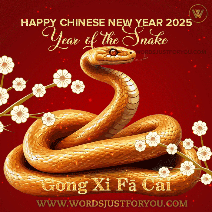 2025 Happy Chinese New Year Wishes