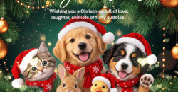 Cute Merry Christmas GIF